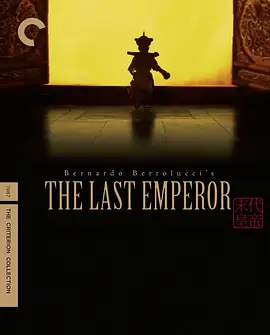 末代皇帝 4K The Last Emperor (1987)/末代皇帝溥仪(港) 2160p.BluRay.REMUX.HEVC.DTS-HD.MA.5.1-FGT【81.49 GB】 1080p.BluRay.x264.DTS-FGT【26.73 GB】-4K视界