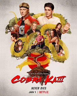 眼镜蛇 第三季 Cobra Kai Season 3 (2021)/ 2160p.NF.WEB-DL.x265.10bit.SDR.DDP5.1【28.59 GB】-4K视界