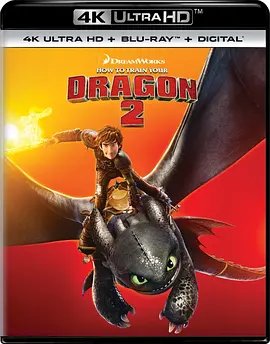 驯龙高手2 4K How to Train Your Dragon 2 (2014)/驯龙记2 (港) 2160p.BluRay.REMUX.HEVC.DTS-X.7.1-FGT 【35.50 GB】-4K视界