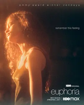 亢奋 第二季 Euphoria Season 2 (2022) / 毒瘾女孩(港)/高校十八禁(台) 2160p.MAX.WEB-DL.x265.10bit.HDR.DDP5.1.Atmos-WDYM【73.17 GB】-4K视界