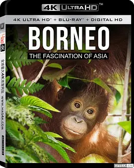 婆罗洲：亚洲的魅力  Borneo The Fascination of Asia (2017)/ 2160p.BluRay.REMUX.HEVC.SDR.DTS-HD.MA.5.1-FGT 【34.02 GB】-4K视界