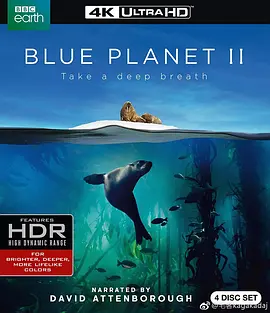 蓝色星球2 Blue Planet II (2017)/蓝色星球 第二季 2160p.BluRay.REMUX.HEVC.DTS-HD.MA.5.1-FGT【142.9GB】-4K视界