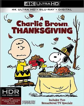 史努比的故事：查理布朗的感恩节 4K A Charlie Brown Thanksgiving (1973)/ 2160p.BluRay.REMUX.HEVC.DTS-HD.MA.5.1-FGT【9.07GB】-4K视界