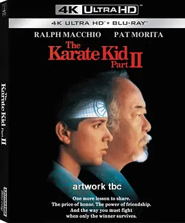 龙威小子2 The Karate Kid Part II (1986) / 龙威小子第二集/小子难缠续集 2160p.BluRay.REMUX.HEVC.DTS-HD.MA.TrueHD.7.1.Atmos-FGT【56.86 GB】-4K视界