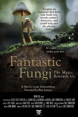 神奇的真菌 Fantastic Fungi (2019)/ 2160p.WEB-DL.x265.10bit.SDR.DD5.1-FLUX【6.82 GB】-4K视界