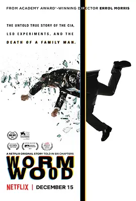 苦艾草 Wormwood (2017)/ 2160p.NF.WEBRip.DDP5.1.x264-4K视界