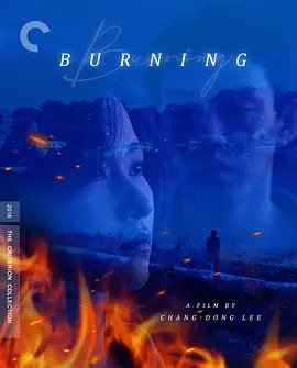 燃烧 버닝 (2018) / 燃烧烈爱(台) / Burning/烧失乐园(港) / 烧仓房(原著) / Beoning 2160p.DTS-HD.MA.5.1.HEVC.HYBRID.REMUX-FraMeSToR【52.37 GB】-4K视界