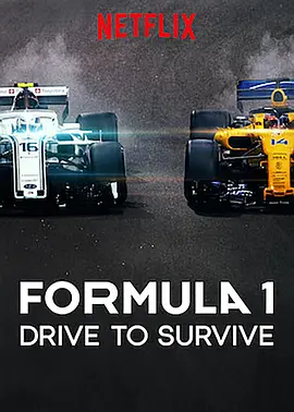 一级方程式：疾速争胜 第一季 Formula 1: Drive to Survive Season 1 (2019)/全10集 2160p.NF.HFR.WEB-DL.x265.10bit.DDP5.1.Atmos-AREY【40.41 GB】-4K视界