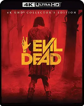 鬼玩人 Evil Dead (2013) / 鬼玩人4/尸变(台) 2160p.BluRay.REMUX.HEVC.DTS-HD.MA.5.1-FGT【48.05 GB】-4K视界