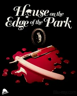 公园旁的凶屋 4K La casa sperduta nel parco (1980)/House on the Edge of the Park 2160p.BluRay.REMUX.HEVC.LPCM.2.0-FGT【58.43 GB】-4K视界