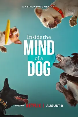 汪星人的奇思妙想 Inside the Mind of a Dog (2024)/ 2160p.NF.WEB-DL.DDP5.1.Atmos.H.265-BATWEB[简繁英字幕][6.67GB]-4K视界