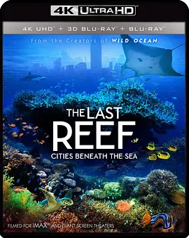 最后的珊瑚礁 The Last Reef: Cities Beneath the Sea (2012) / 最后的珊瑚/珊瑚礁：消失的海底之城(港) 2160p.BluRay.REMUX.HEVC.HDR.DTS-HD.MA.TrueHD.7.1.Atmos-FGT【18.63G-4K视界