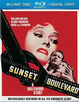 日落大道 Sunset Blvd. (1950)/红楼金粉(港)  1080p.BluRay.REMUX.AVC.DTS-HD.MA.TrueHD.2.0-FGT【27.23 GB】-4K视界