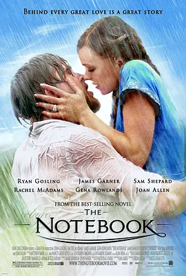 恋恋笔记本 The Notebook (2004) / 手札情缘(台)/忘了·忘不了(港)-4K视界