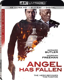 天使陷落 4K Angel Has Fallen (2019) / 白宫沦陷3﹕天使沦陷(港)/奥林匹斯的陷落3 / 空军一号陷落 2160p.BluRay.REMUX.AVC.DTS-HD.MA.TrueHD.7.1.Atmos-FGT【70.7GB】-4K视界