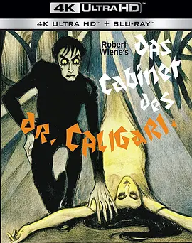 卡里加里博士的小屋 Das Cabinet des Dr. Caligari (1920) / 卡里加利博士的小屋/卡里加里博士 2160p.BluRay.REMUX.HEVC.SDR.DTS-HD.MA.2.0-FGT【38.86 GB】-4K视界