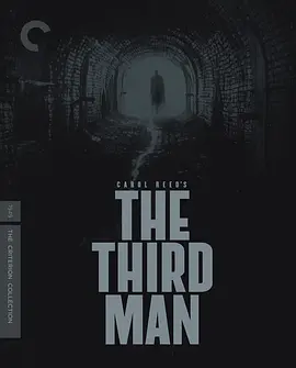 第三人 The Third Man (1949) / 第三个人 / The 3rd Man/黑狱亡魂(港) / 第三者 2160p.UHD.Blu-ray.DoVi.HDR10.HEVC.DTS-HD.MA.2.0【89.61 GB】【杜比视界】-4K视界