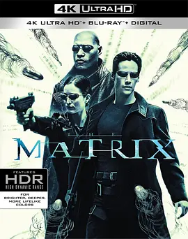 黑客帝国 4K The Matrix (1999) / 骇客任务(台)/廿二世纪杀人网络(港) 2160p.BluRay.REMUX.HEVC.DTS-HD.MA.TrueHD.7.1.Atmos-FGT【61.9GB】-4K视界