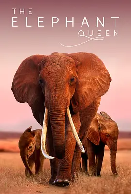 大象女王 The Elephant Queen (2018)/ 2160p.ATVP.WEB-DL.DDP5.1.Atmos.DV.MP4.x265-iKA【16.58 GB】【杜比视界】-4K视界