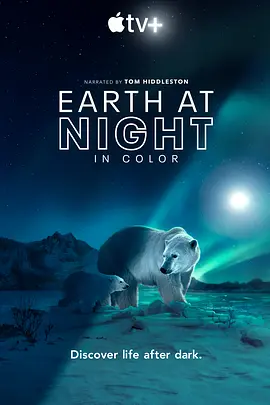 夜色中的地球 第二季 Earth at Night in Color Season 2 (2021)/ 2160p.ATVP.WEB-DL.x265.10bit.HDR.DDP5.1.Atmos-KOGi【29.62 GB】-4K视界