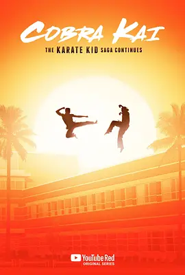 眼镜蛇 第一季 Cobra Kai Season 1 (2018)/ 2160p.NF.WEB-DL.x265.10bit.SDR.DDP5.1【25.16 GB】-4K视界