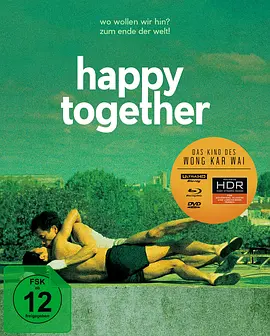 春光乍泄 Happy Together (1997) / 一起快乐/春光乍洩 / Buenos Aires Affair 2160p.BluRay.REMUX.HEVC.DTS-HD.MA.5.1-FGT【52.04 GB】-4K视界