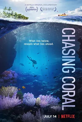 追逐珊瑚 Chasing Coral (2017) 2160p.NF.WEB-DL.x265.10bit.HDR.DDP5.1-XEBEC【11.75 GB】-4K视界