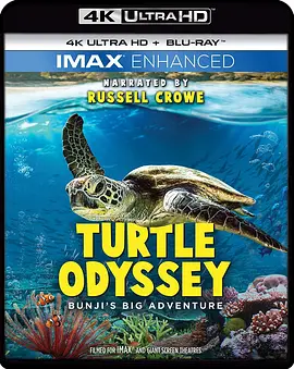 海龟大冒险 Turtle Odyssey (2018)/龟女士的奥德赛 2160p.BluRay.REMUX.HEVC.DTS-X.7.1-FGT【17.88 GB】-4K视界