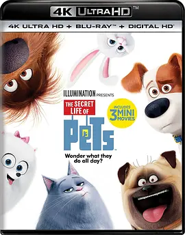 爱宠大机密 4K The Secret Life of Pets (2016) / 宠物当家(台)/Pet Pet当家(港) / 宠物的秘密生活 2160p.BluRay.REMUX.HEVC.DTS-HD.MA.TrueHD.7.1.Atmos-FGT【53.5GB】 1080-4K视界