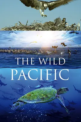 狂野太平洋 The Wild Pacific (2016)/ 2160p.BluRay.REMUX.HEVC.SDR.DTS-HD.MA.5.1-FGT【21.5GB】-4K视界