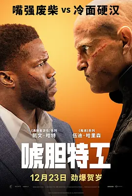 唬胆特工  The Man from Toronto (2022) / 玩命大临演(台)/换命大龙凤(港) 2160p.NF.WEB-DL.x265.10bit.HDR.DDP5.1.Atmos【10.27 GB】-4K视界