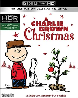 查理布朗的圣诞节 4K A Charlie Brown Christmas (1965) / 花生精选之查理布朗的圣诞节/查理布朗與史努比過聖誕(台) 2160p.BluRay.REMUX.HEVC.DTS-HD.MA.5.1-FGT【9.08GB】-4K视界