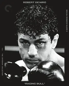 愤怒的公牛 Raging Bull (1980) / 蛮牛(台)/狂牛(港) 2160p.BluRay.REMUX.HEVC.DTS-HD.MA.5.1-FGT【85.03 GB】 1080p.BluRay.REMUX.AVC.DTS-HD.MA.5.1-FGT【33.66 GB-4K视界