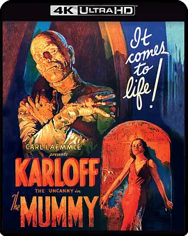 木乃伊 The Mummy (1932) / Im-Ho-Tep / Mumien Vaknar/Cagliostro / King of the Dead 2160p.BluRay.REMUX.HEVC.DTS-HD.MA.2.0-FGT【41.34 GB】-4K视界