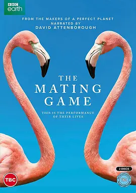 求偶游戏 The Mating Game (2021) 2160p.WEB-DL.H264.AAC-ZeroTV【34.98 GB】-4K视界