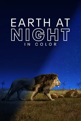 夜色中的地球 第一季 Earth at Night in Color Season 1 (2020)/ 2160p.ATVP.WEB-DL.x265.10bit.HDR.DDP5.1.Atmos-ROCCaT【29.08 GB】-4K视界