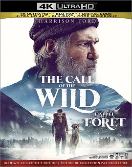 野性的呼唤 4K The Call of the Wild (2020) / 台) / 荒野的呼唤/极地守护犬(港 / 绝境长征 2160p.BluRay.REMUX.HEVC.DTS-HD.MA.TrueHD.7.1.Atmos-FGT 【56.45 GB】-4K视界