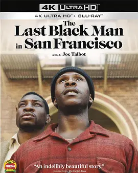 旧金山的最后一个黑人 The Last Black Man in San Francisco (2019)/ 2160p.BluRay.REMUX.HEVC.DTS-HD.MA.5.1-FGT【68.47 GB】-4K视界