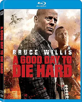 虎胆龙威5 A Good Day to Die Hard (2013)/  1080p.BluRay.REMUX.AVC.DTS-HD.MA.7.1-FGT【22.90 GB】-4K视界