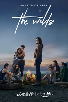 荒野 第一季  The Wilds Season 1 (2020)/ 2160p.AMZN.WEB-DL.x265.10bit.HDR10Plus.DDP5.1-ROCCaT【55.23 GB】-4K视界