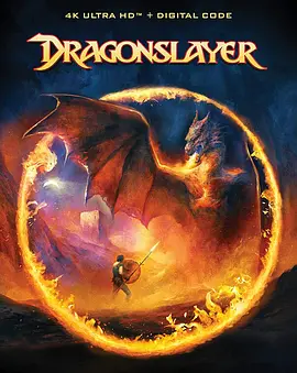 屠龙记 Dragonslayer (1981)/ 2160p.BluRay.REMUX.HEVC.DTS-HD.MA.TrueHD.7.1.Atmos-FGT【48.28 GB】-4K视界