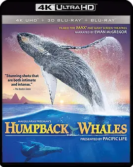 座头鲸 Humpback Whales (2015)/座头鲸的鸣歌 2160p.BluRay.REMUX.HEVC.HDR.DTS-HD.MA.TrueHD.7.1.Atmos-FGT【17.3GB】-4K视界