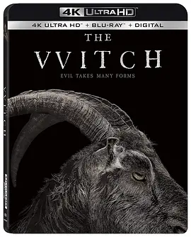 女巫 4K The VVitch: A New-England Folktale (2015) / The Witch / 巫魍之灾(港)/The VVitch / 女巫：新英格兰的传说 / The VVitch: A New-England Folktale 2160p.Blu-4K视界