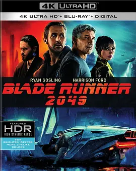 银翼杀手2049 4K Blade Runner 2049 (2017) / 银翼杀手2/Blade Runner 2 2160p.BluRay.REMUX.HEVC.DTS-HD.MA.TrueHD.7.1.Atmos-FGT【74.8GB】-4K视界