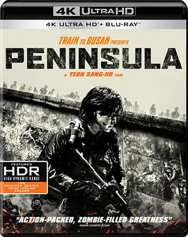 釜山行2：半岛 4K Train to Busan Presents: Peninsula /  Peninsula / 半岛 / 尸速列车：感染半岛(台)/부산행2-반도 / Train to Busan 2 / 尸杀半岛(港) / 釜山行2 2160p.BluRay.REMU-4K视界