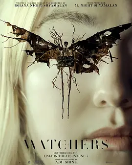 神秘窥视 The Watchers (2024) /台)/窥探者(港/ 窥视者 2160p.WEB.H265-Voracious【17.60 GB】-4K视界