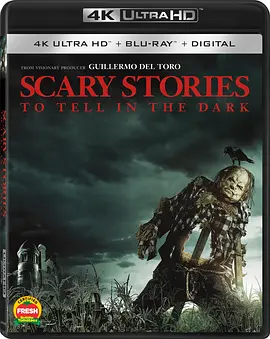 在黑暗中讲述的恐怖故事 4K Scary Stories to Tell in the Dark (2019) / 讲鬼故(港)/在黑暗中说的鬼故事(台) / 黑暗恐怖故事 2160p.BluRay.REMUX.HEVC.DTS-HD.MA.TrueHD.5.1-FGT【59.0-4K视界