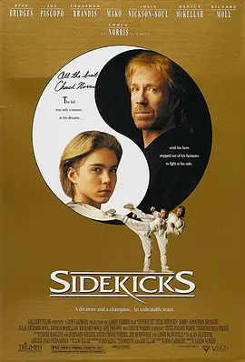 无敌战将 4K Sidekicks (1992)/ 2160p.BluRay.REMUX.HEVC.DTS-HD.MA.2.0-FGT【57.41 GB】-4K视界