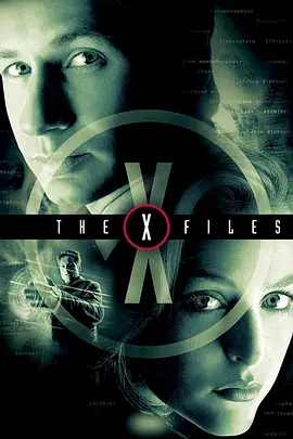 The.X-Files X档案 1-11季 全集/The X-Files S01-S11  1080p.BluRay.REMUX.AVC.DTS-HD.MA.5.1-NOGRP【217.89 GB】-4K视界