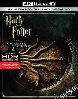 哈利·波特与密室 4K Harry Potter and the Chamber of Secrets (2002) / 哈利波特2：消失的密室(港/哈2 / 台) 2160p.BluRay.REMUX.HEVC.DTS-X.7.1-FGT【80.61 GB】-4K视界